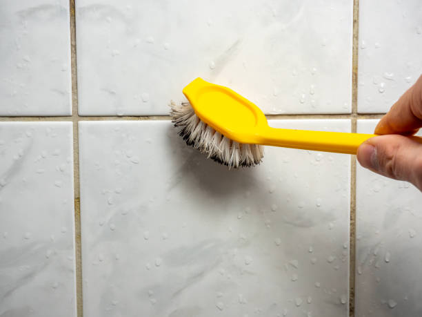 Best Certified Mold Removal  in New Holland, PA